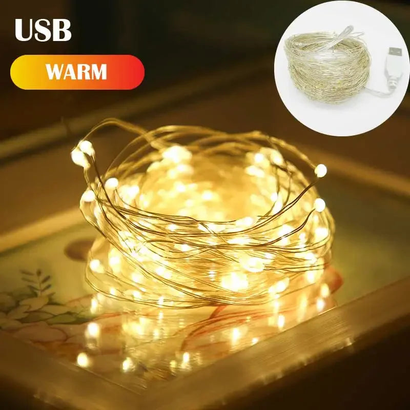 5M USB Silver Wire Fairy Lights β Waterproof Christmas Garland