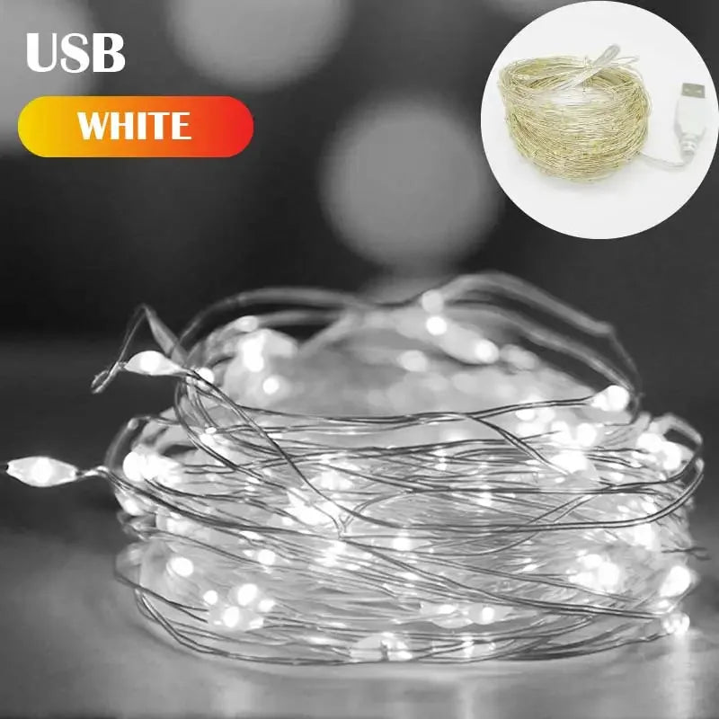 5M USB Silver Wire Fairy Lights β Waterproof Christmas Garland